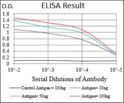 ELISA: UbcH10/UBE2C Antibody (1F5D3) - BSA Free [NBP2-52580]