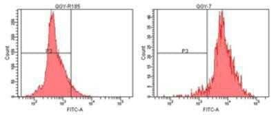Flow Cytometry: Ubiquitin Antibody (P4G7-H11) [NBP1-19306]