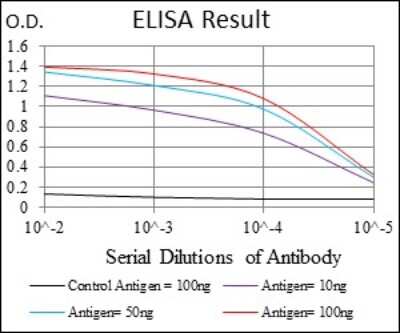 ELISA: Ubiquitin B Antibody (3C12) - BSA Free [NBP2-37521]
