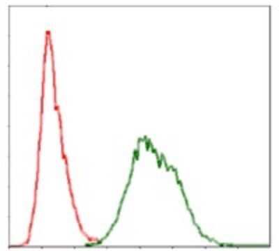 Flow Cytometry: Ubiquitin B Antibody (3C12) - BSA Free [NBP2-37521]