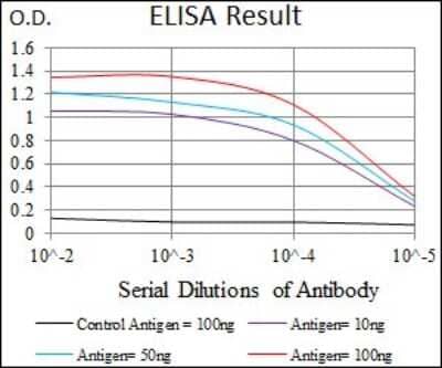 ELISA: Uteroglobin/SCGB1A1 Antibody (3A8B8) - BSA Free [NBP2-37439]