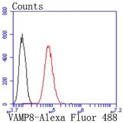Flow Cytometry: VAMP-8 Antibody (JF0963) [NBP2-66777]