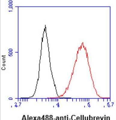 Flow Cytometry: VAMP3/Cellubrevin Antibody (4G9) - BSA Free [NBP1-97948]