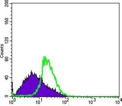 Flow Cytometry: VASA Antibody (2F9H5) - BSA Free [NBP1-51586]