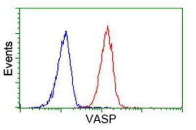 Flow Cytometry: VASP Antibody (OTI4D6) [NBP2-00555]