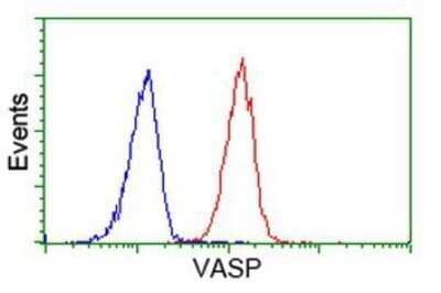 Flow Cytometry: VASP Antibody (OTI4D6) - Azide and BSA Free [NBP2-74830]