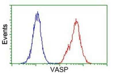 Flow Cytometry: VASP Antibody (OTI4D6) - Azide and BSA Free [NBP2-74830]