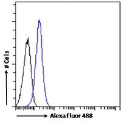 Flow Cytometry: VAV3 Antibody [NB300-817]