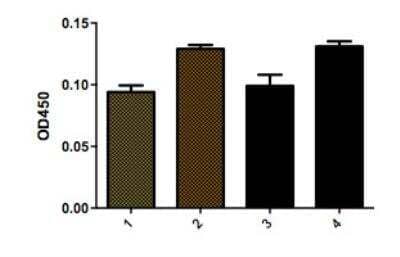 ELISA: VCAM-1/CD106 Antibody (1.4C3) - Azide and BSA Free [NBP2-33182]