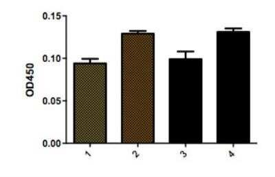 ELISA: VCAM-1/CD106 Antibody (1.4C3) [NBP2-29413]