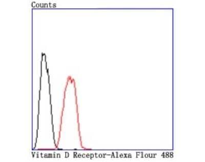 Flow Cytometry: VDR/NR1I1/Vitamin D Receptor Antibody (JA11-16) [NBP2-66778]