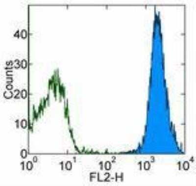 Flow Cytometry: VE-Cadherin Antibody (16B1) [NBP2-00342]