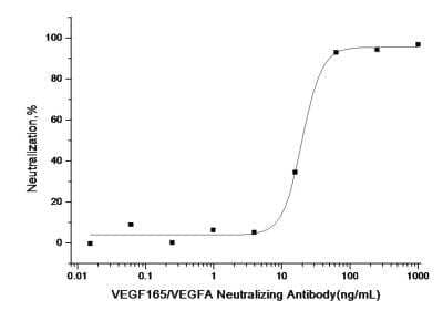 Neutralization: VEGF 165 Antibody (R010) [NBP2-89778]