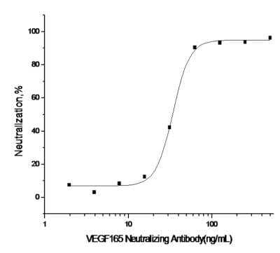 Neutralization: VEGF 165 Antibody (R012) [NBP2-89779]