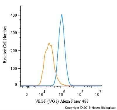 Flow Cytometry of U-87 Cells Stained with Alexa Fluor 488 Conjugated VEGF Antibody