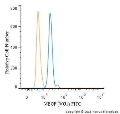 Flow Cytometry of U-937 Cells Stained with FITC Conjugated VEGF Antibody