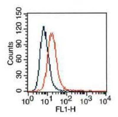 Flow (Cell Surface): VEGFR2/KDR/Flk-1 Antibody (2C6) - BSA Free [NBP2-36429]