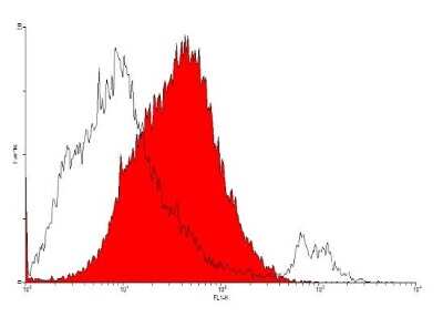 Flow Cytometry: VEGFR1/Flt-1 Antibody (EWF) - Azide and BSA Free [NB600-1006]
