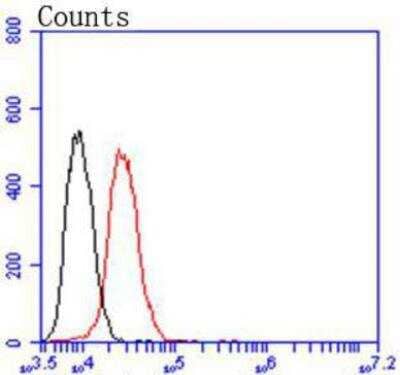 Flow Cytometry: VEGFR1/Flt-1 Antibody (SY09-09) [NBP3-11864]