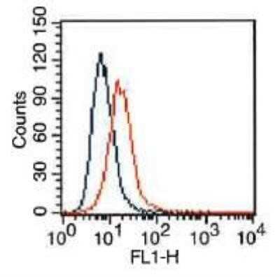 Flow Cytometry: VEGFR2/KDR/Flk-1 Antibody (1B6) - Azide and BSA Free [NBP2-81008]