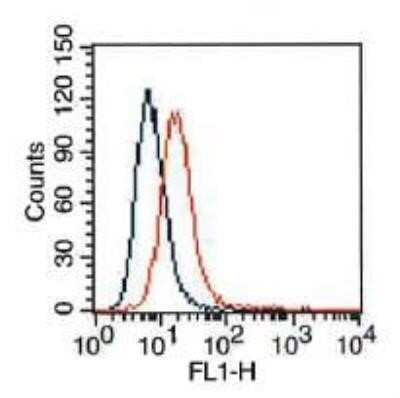 Flow (Cell Surface): VEGFR2/KDR/Flk-1 Antibody (2C6) - Azide and BSA Free [NBP2-81009]