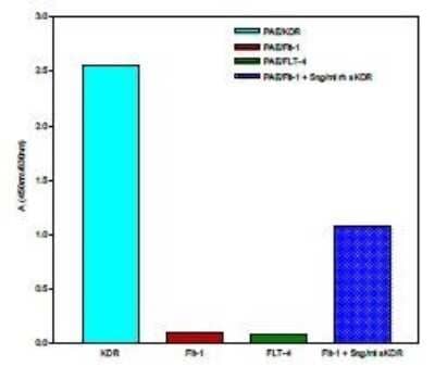 ELISA: VEGFR2/KDR/Flk-1 Antibody (4H3) - Azide and BSA Free [NBP1-18644]