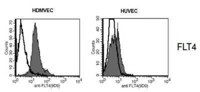Flow Cytometry: VEGFR3/Flt-4 Antibody (9D9) - Azide and BSA Free [NBP1-18651]