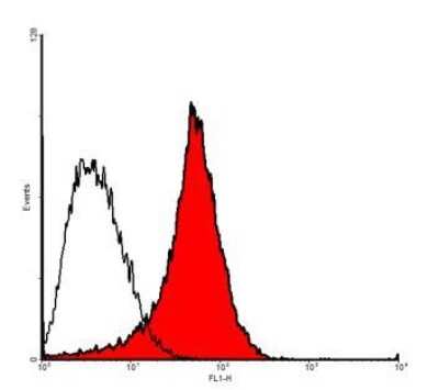 Flow Cytometry: VEGFR3/Flt-4 Antibody (9D9) - Azide and BSA Free [NBP1-18651]