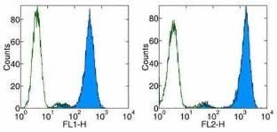 Flow Cytometry: VEGFR3/Flt-4 Antibody (AFL4) - BSA Free [NBP1-43259]