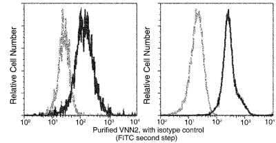 Flow Cytometry: VNN2 Antibody (3F8F8H6) [NBP3-06441]