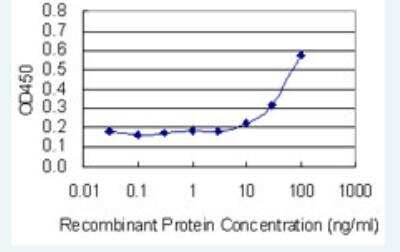 ELISA: VPS33B Antibody (3E11) [H00026276-M01-100ug]