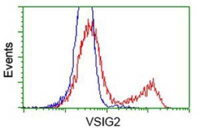 Flow Cytometry: VSIG2 Antibody (OTI2D8) [NBP2-03376]