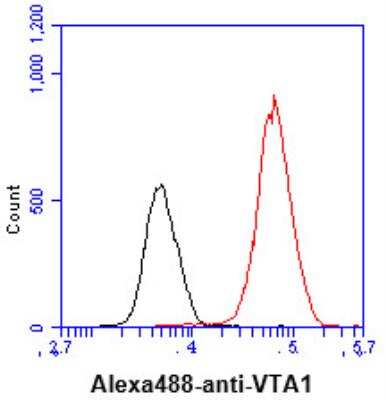Flow Cytometry: VTA1 Antibody (14G10) - BSA Free [NBP2-59420]