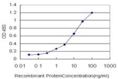 ELISA: Vanin-1/VNN1 Antibody (2B10) [H00008876-M05]