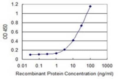 ELISA: Vanin-1/VNN1 Antibody (4E11) [H00008876-M08]