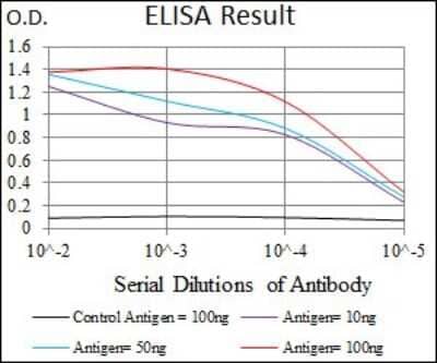 ELISA: Vav-1 Antibody (2E11) - BSA Free [NBP2-37469]