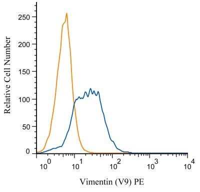 Flow Cytometry: Vimentin Antibody (V9) - BSA Free [NBP1-97670]