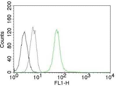 Flow Cytometry: Vimentin Antibody (VM452) - Azide and BSA Free [NBP2-33060]