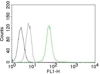 Flow Cytometry: Vimentin Antibody (VM452) [NBP2-29433]