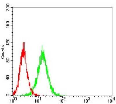 Flow Cytometry: Vitronectin Antibody (1G11E8) - BSA Free [NBP2-52586]