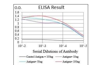 ELISA: Vitronectin Antibody (1G11E8) - BSA Free [NBP2-52586]