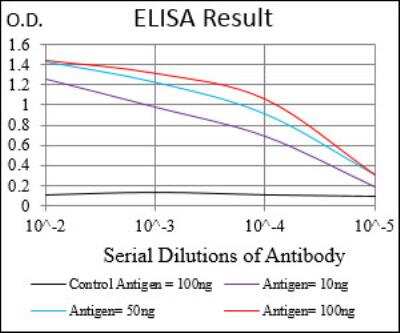 ELISA: WASP Antibody (7B10E4) - BSA Free [NBP2-52587]