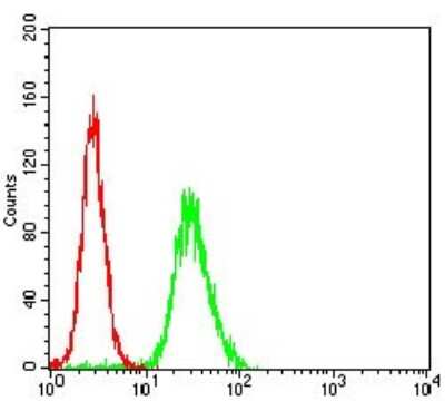 Flow Cytometry: WASP Antibody (7B10E4) - BSA Free [NBP2-52587]