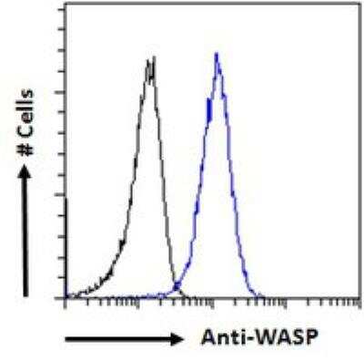 Flow Cytometry: WASP Antibody [NB300-996]