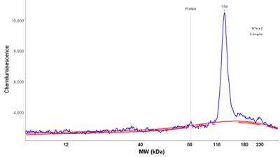 Simple Western: WBP11 Antibody [NBP2-38602]