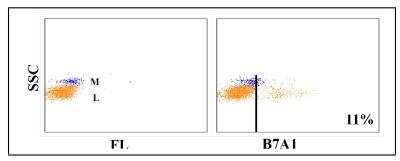 Flow Cytometry: WC1(+) gamma delta T cell Antibody (B7A1) [NBP2-61043]