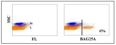 Flow Cytometry: WC1(+) gamma delta T cell Antibody (BAG25A) [NBP2-61080]