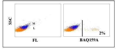 Flow Cytometry: WC1(+) gamma delta T cell Antibody (BAQ159A) [NBP2-61085]
