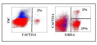 Flow Cytometry: WC1(+) gamma delta T cell Antibody (CACT21A) [NBP2-61083]