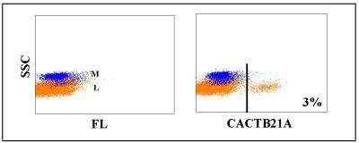 Flow Cytometry: WC1(+) gamma delta T cell Antibody (CACTB21A) [NBP2-61081]